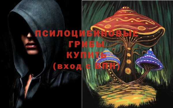 амф Горно-Алтайск