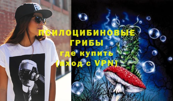 амф Горно-Алтайск