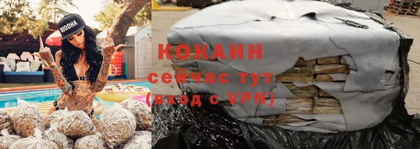 меф Горняк