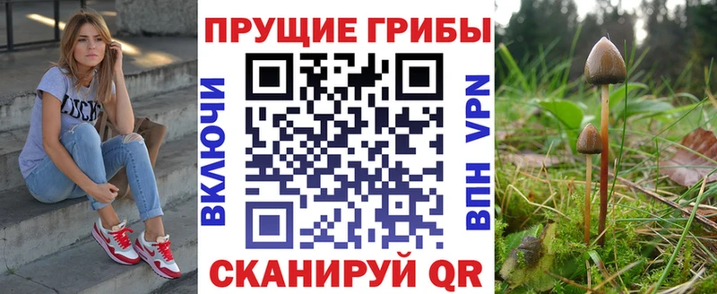 Псилоцибиновые грибы прущие грибы  где продают наркотики  Елабуга 