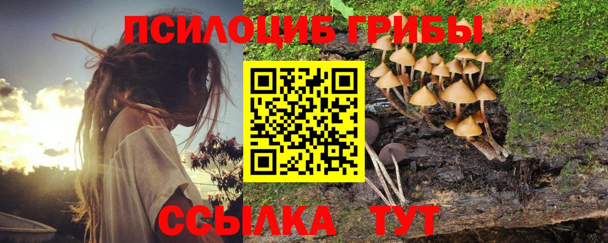 Галлюциногенные грибы GOLDEN TEACHER Елабуга