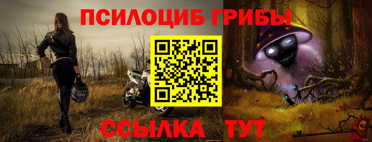 Галлюциногенные грибы мухоморы Елабуга