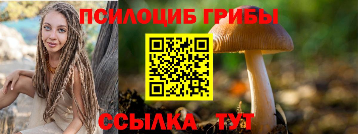 цена наркотик  Елабуга  Псилоцибиновые грибы Psilocybine cubensis 