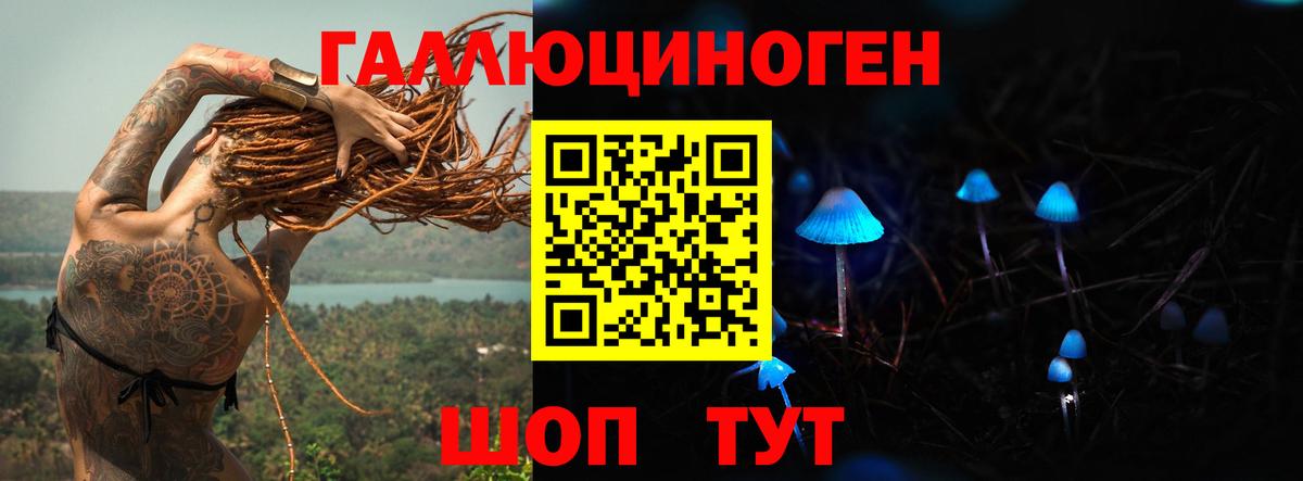 магазин продажи наркотиков  Галлюциногенные грибы GOLDEN TEACHER  Вход с VPN  Елабуга 